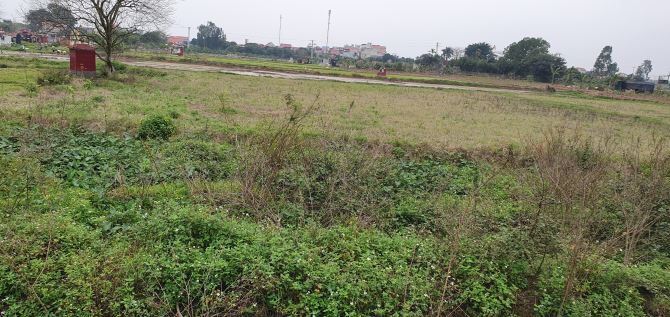 Cty bán 3 ha đất sản xuất Kim Loại Màu, chỉ 5 tr/m2.