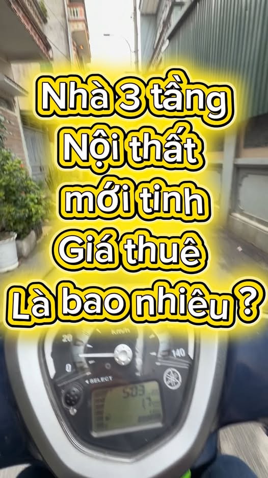 Khu Võ Cường