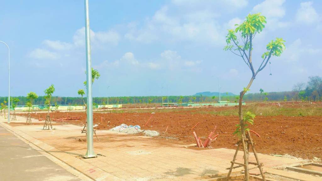 Bán đất The Link City, vị trí giao thương, đón đầu sóng hạ tầng, giá trị kinh tế