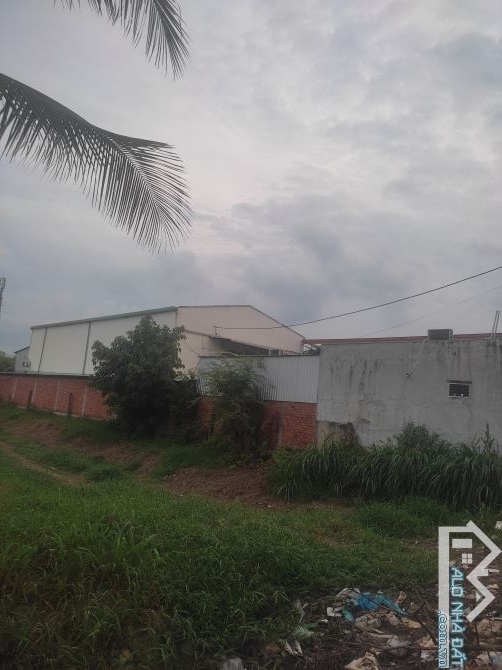 Bán kho xưởng 20*50m. Full thổ. Lê Thị Kim. Xây dựng 700m