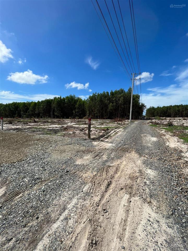 Bán đất mẫu vị trí 2 lê văn duyệt, giá 5 tỷ/ha, tổng 1.5 ha