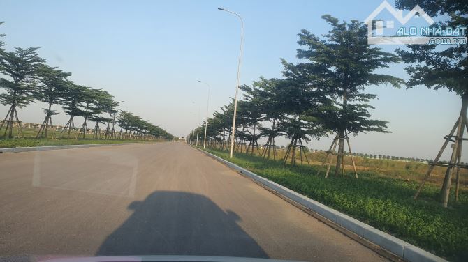 CTY cần bán 1,5 ha đất sxkd CCN Yên Bằng, đã có sổ, đóng tiền 1 lần, 90 usd/m2