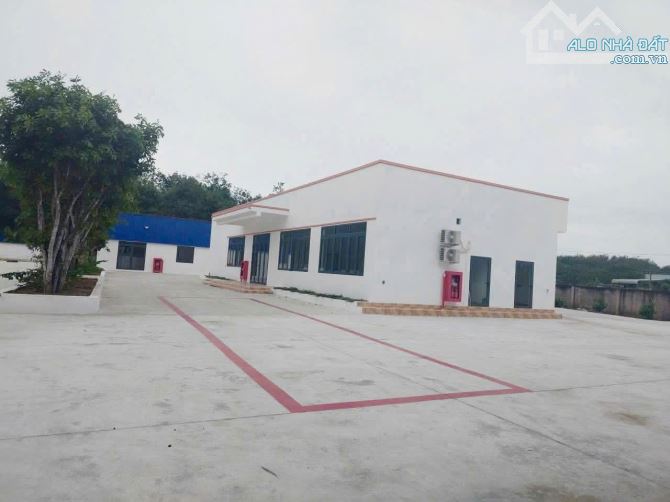 CHO THUÊ HOẶC BÁN XƯỞNG PHÚ GIÁO BÌNH DƯƠNG (CTX233,BX70)