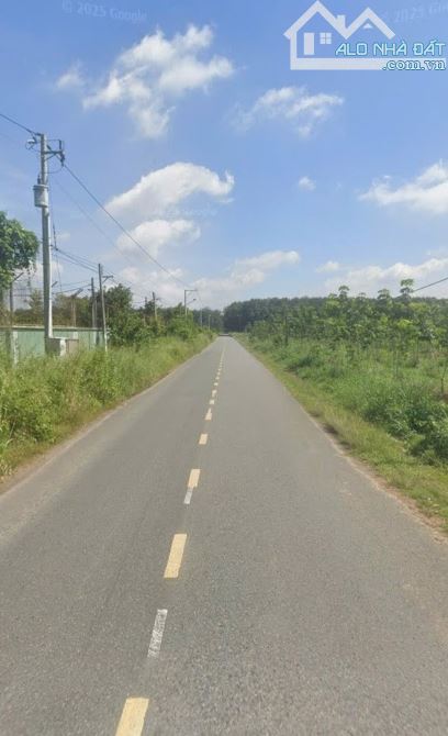 BÁN ĐẤT QUY HOẠCH SKC ĐÃ XIN CHỦ TRƯƠNG TẠI LONG NGUYÊN BÀU BÀNG BÌNH DƯƠNG (BĐ161)