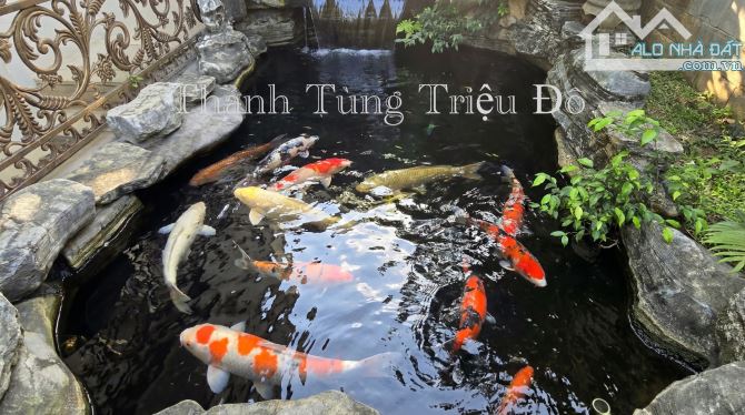Bán tòa nhà Building mặt phố Nguyễn Văn Cừ 11 tầng dòng tiền 365 Triệu/Tháng