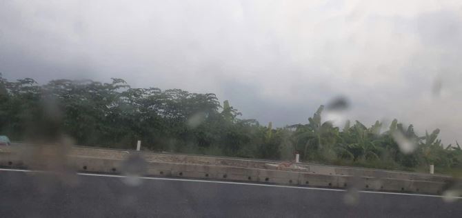 Cty cần bán 1,45 ha đất đóng tiền 1 lần, san lấp đường 379 Văn Giang, chỉ 7 tr/m2