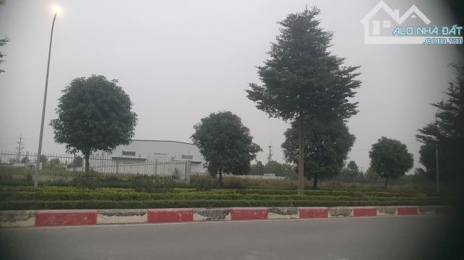 Cty cần bán 3 ha đất sckd KCN Đồng Văn 3, chỉ 117 usd/m2