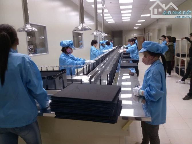 CHỦ HÀN QUỐC CẦN BÁN GẤP NHÀ XƯỞNG – GIẢM GẦN 50%, CHỈ CÒN 55 TỶ! GIẢM TIẾP 5 TỶ, RẤT GẤPẠ