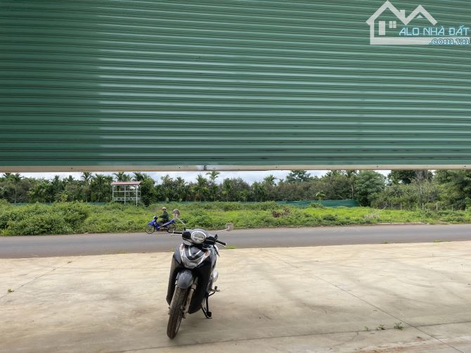 Bán 8.1 sào đất mặt tiền Vành Đai 14/16 có sẵn nhà kho