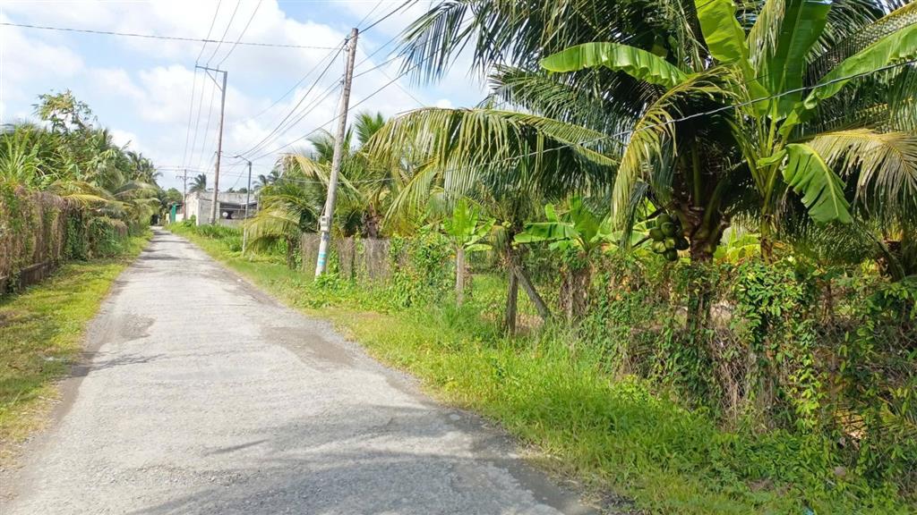 Giảm giá bán nhanh 2000m2 đất thổ cư mặt tiền đường nhựa, gần cầu rạch miễu 2