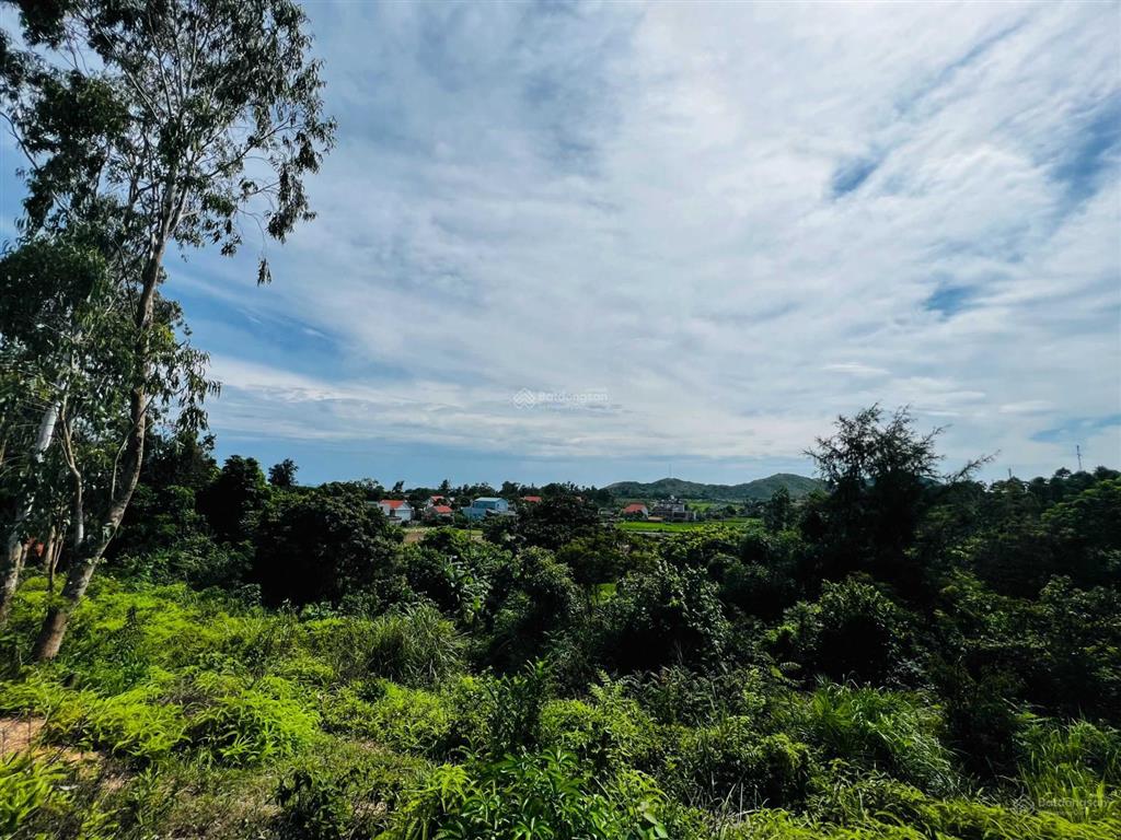 Lô đất rộng đảo vĩnh thực, xây nhà vườn, villa nghỉ dưỡng, homestay