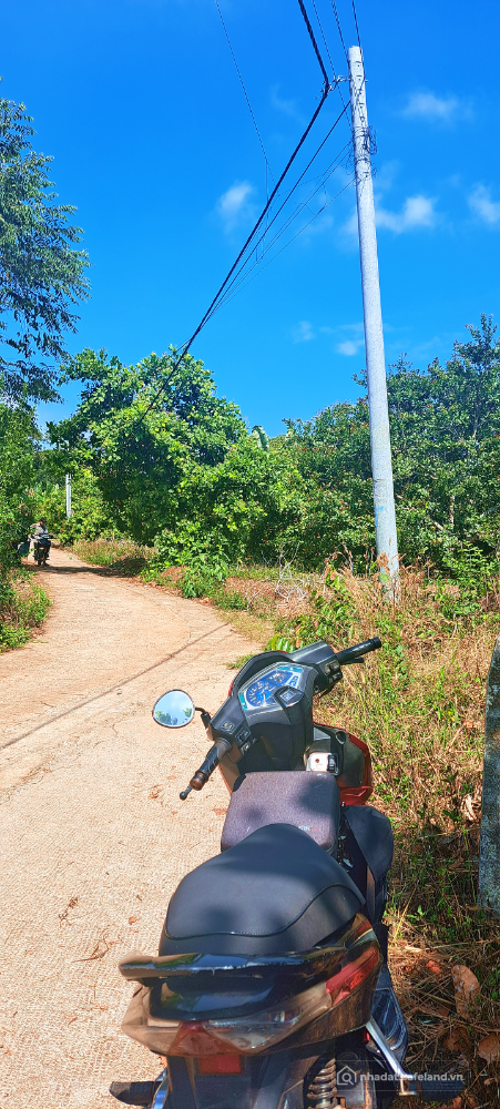1000 m2 đất CLN, Cách QL1A chỉ 1,5km. P Bình Lộc, TP Đồng Nai. GIÁ 1,5 Tỷ