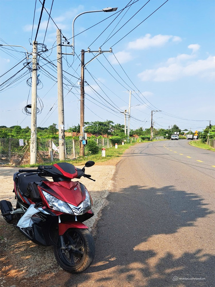 10x50 đất vườn, Full hồng, P Bảo Vinh Suối Chồn. TP Long Khánh, Đồng Nai.