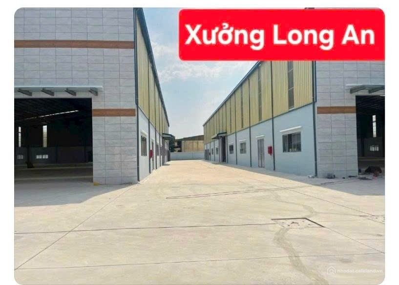 Bán xưởng Long An giáp Hóc Môn – ngộp bank giá tốt