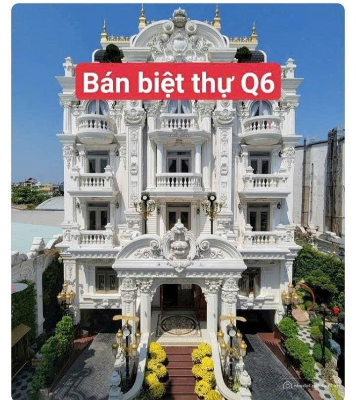 Bán biệt thự tân cổ điển mặt tiền Trần Văn Kiểu, phường 10, quận 6