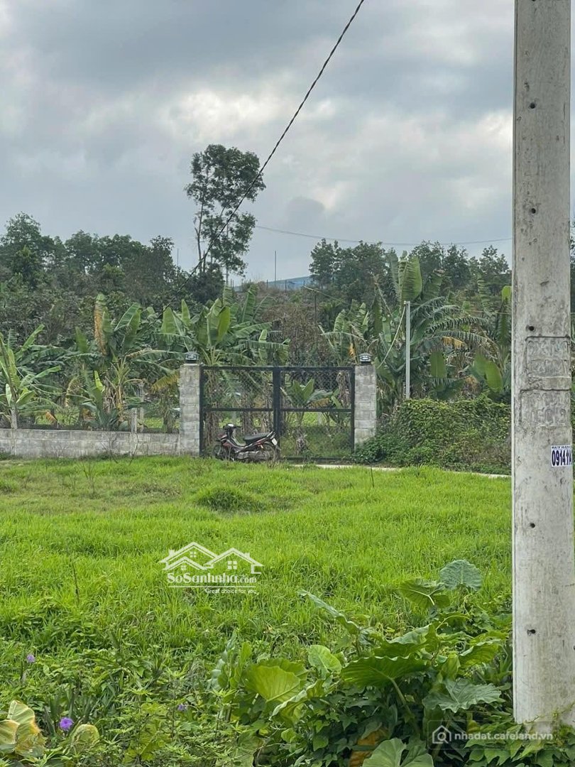 Bán nhà hàng - Khách sạn: Bán Lô đất Vườn Có Sổ Khu đại La, Hoà Sơn