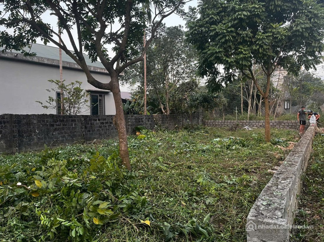 Bán nhà hàng - Khách sạn: GĐ có mảnh đất để dành nhưng nay vì cần tiền lo việc n
