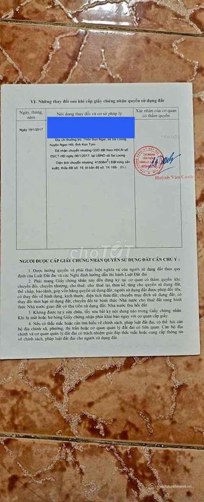 Bán đất nông, lâm nghiệp: Cần Bán Diện Tich Đất Rừng lớn Hợp Canh tác ,Rừng ,Chă