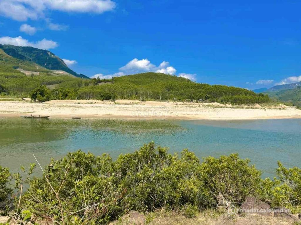 Bán đất nông, lâm nghiệp: BÁN ĐẤT RỪNG VIEW SÔNG, VIEW SUỐI CỰC ĐẸP – 3HA – CÓ S