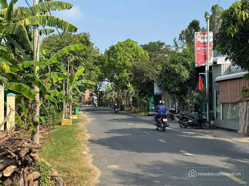 Bán đất nông, lâm nghiệp: Bán đất vườn 1032m² Phường Tân Châu, Tỉnh An Giang