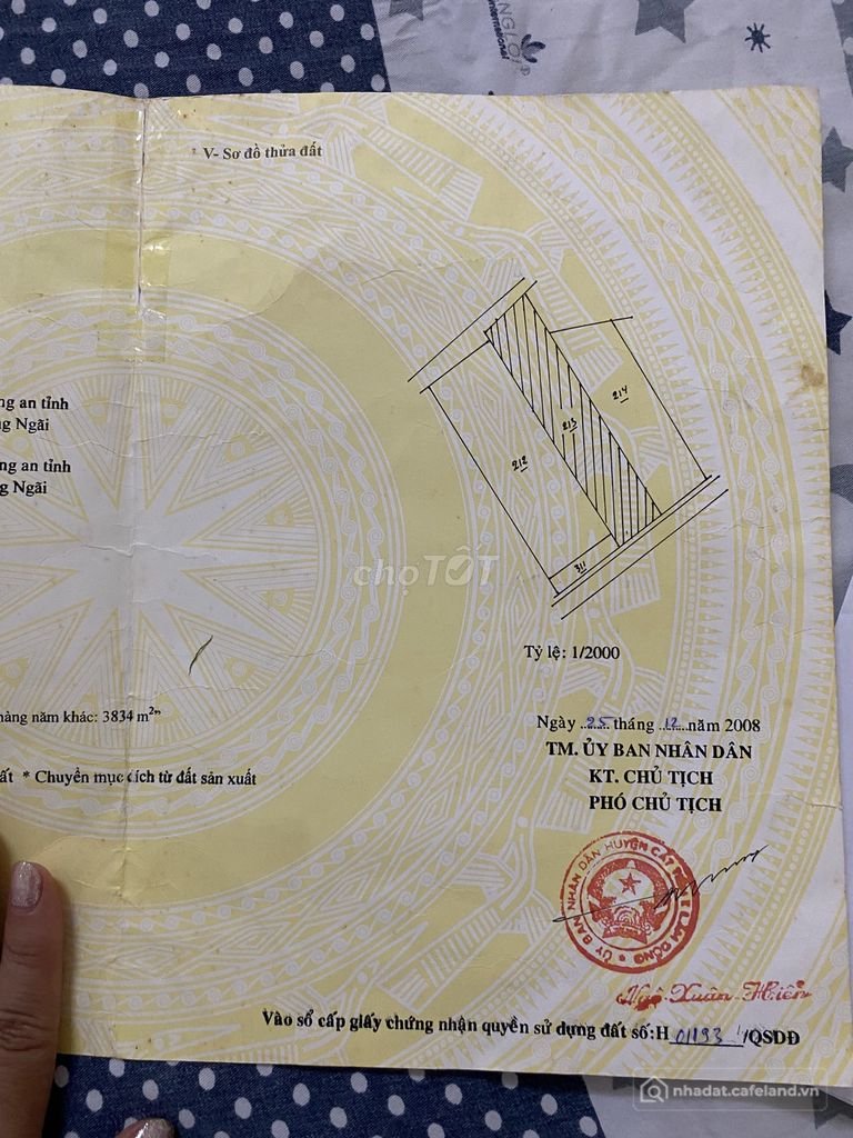Bán đất nông, lâm nghiệp: GẦN KHU KHẢO CỔ HỌC