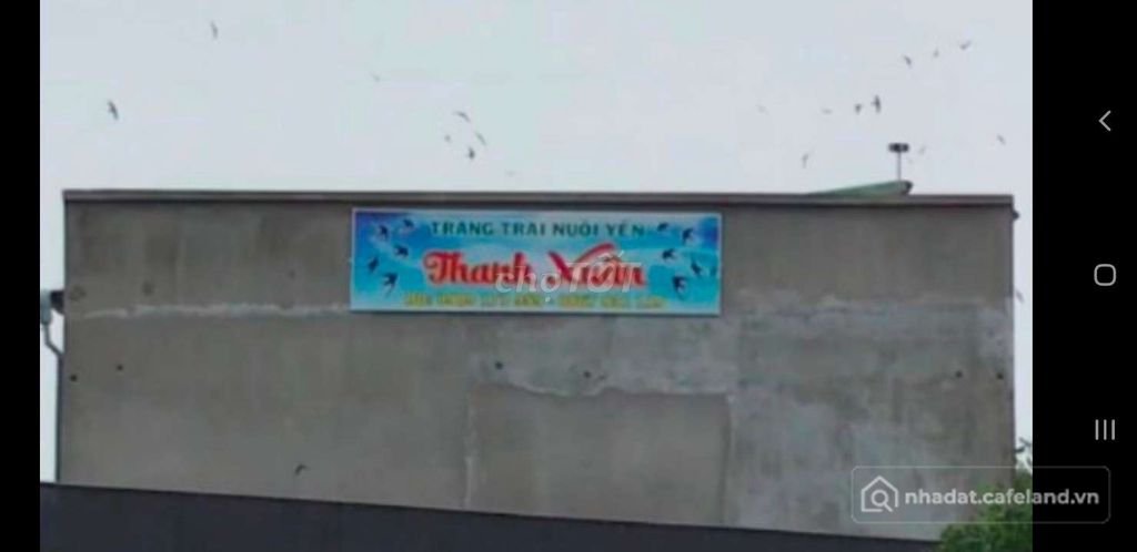 Bán đất nông, lâm nghiệp: NHÀ Ở NHÀ YẾN TRÀ VINH