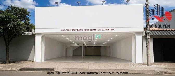 Biệt thự: Cho thuê MBKD, 10x21, Phường Bình Trị Đông, Bình Tân