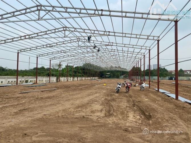 Cho thuê đất: Cần cho thuê 1200m2 ( có ngăn) có PCCC tại CCN Cầu Nổi