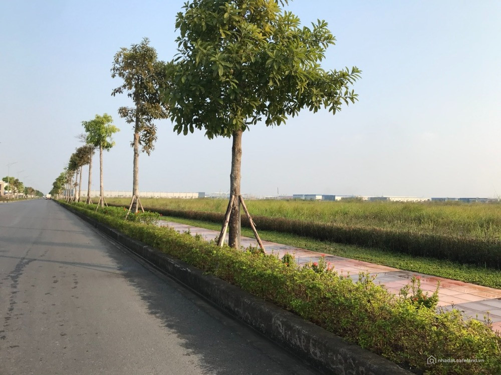 CHUYỂN NHƯỢNG 10.000M² ĐẤT KHU CÔNG NGHIỆP HÒA PHÚ – BẮC NINH, Bàn giao ngay.