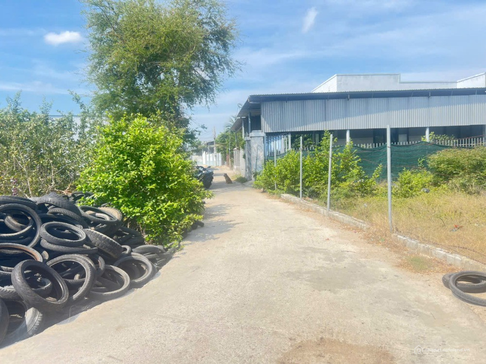 Bán lô đất thổ cư, 2 mặt tiền đường oto, cách biển Ninh Chử khoảng 3km