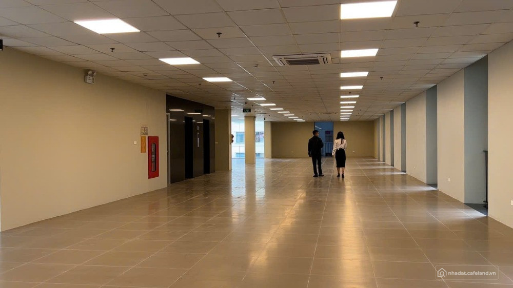 Cho thuê MBKD, VP toà nhà Việt Đức AM Group cạnh KCN Quang Minh, HN DT: 300 - 8