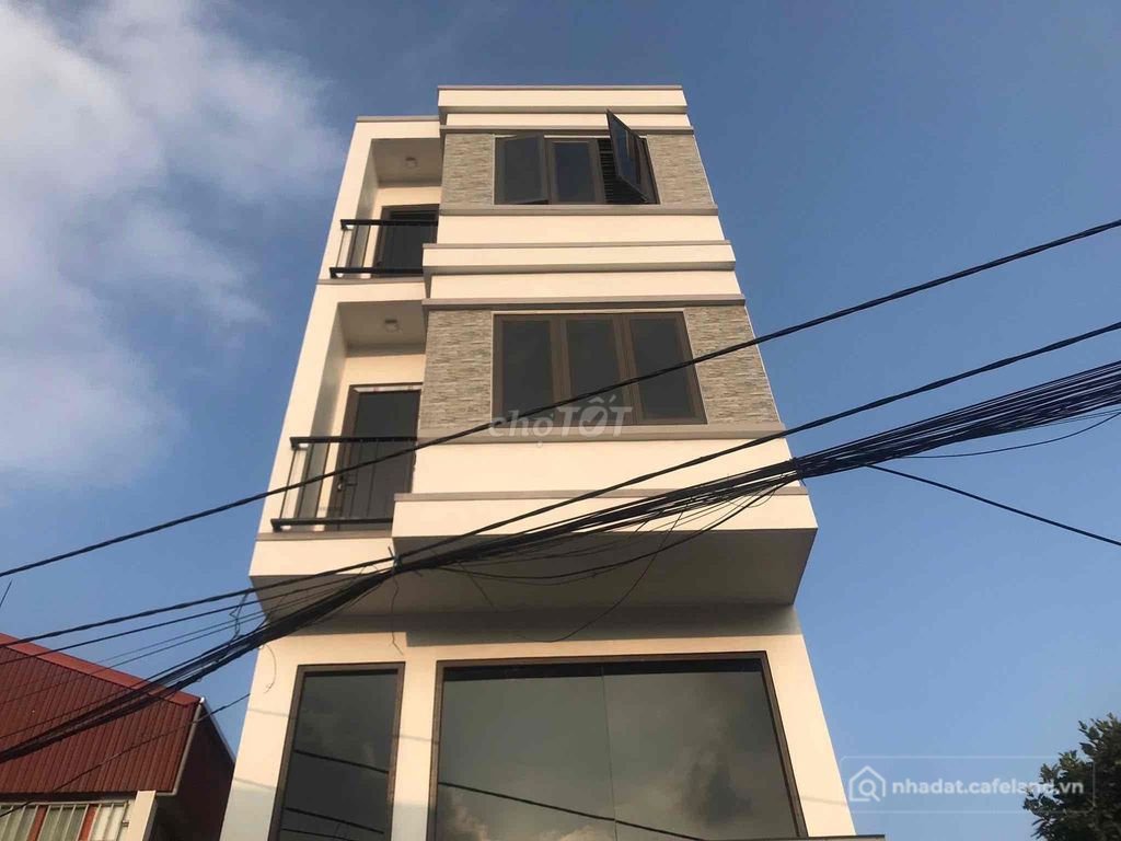 Biệt thự: Cho thuê nhà