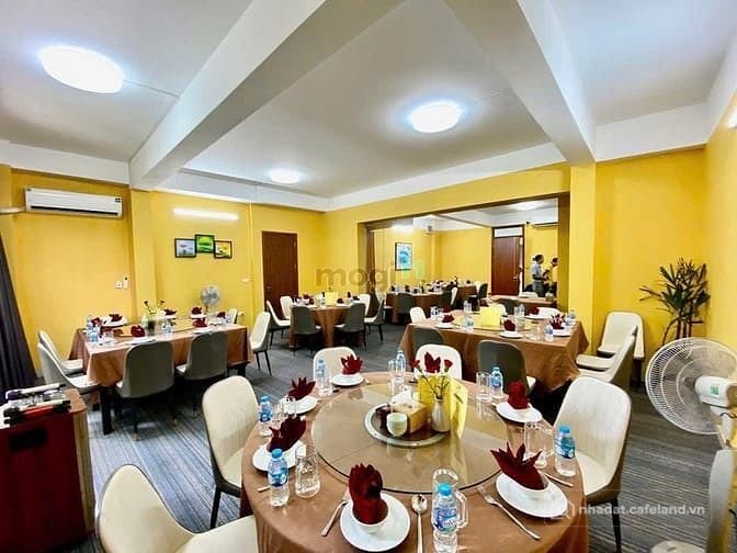 Cho thuê nhà riêng: Nhà phố: Cho thuê nhà mặt phố Ngô Thì Nhậm, DT 160m2x4 tầng,