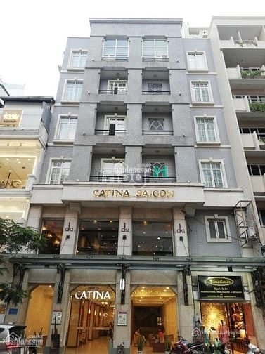 Cho thuê nhà riêng: Nhà phố: Duplex Green View Cực Chill - NT Xám Xi Măng Có Gu
