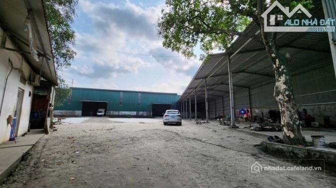 Cho thuê mặt bằng: Cho thuê mặt bằng: Cho thuê đất: Cho thuê nhà xưởng diện tích