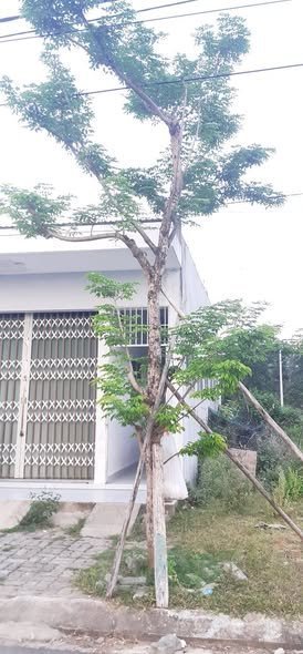 Cho thuê phòng trọ: Cho thuê phòng trọ: Cho thuê phòng trọ: 49 Liêm Lạc 18