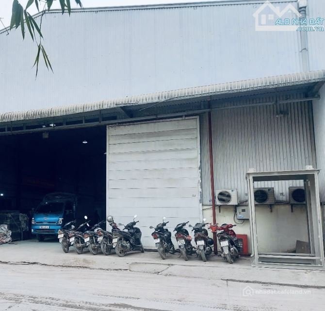 Cho thuê mặt bằng: Cho thuê mặt bằng: Cho thuê mặt bằng: Cho thuê đất: Cho thue