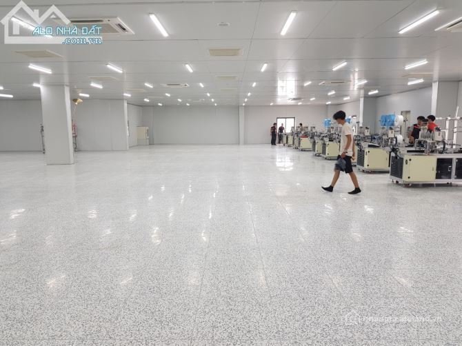 Cho thuê mặt bằng: Cho thuê mặt bằng: Cho thuê mặt bằng: Cho thuê đất: Cần cho t