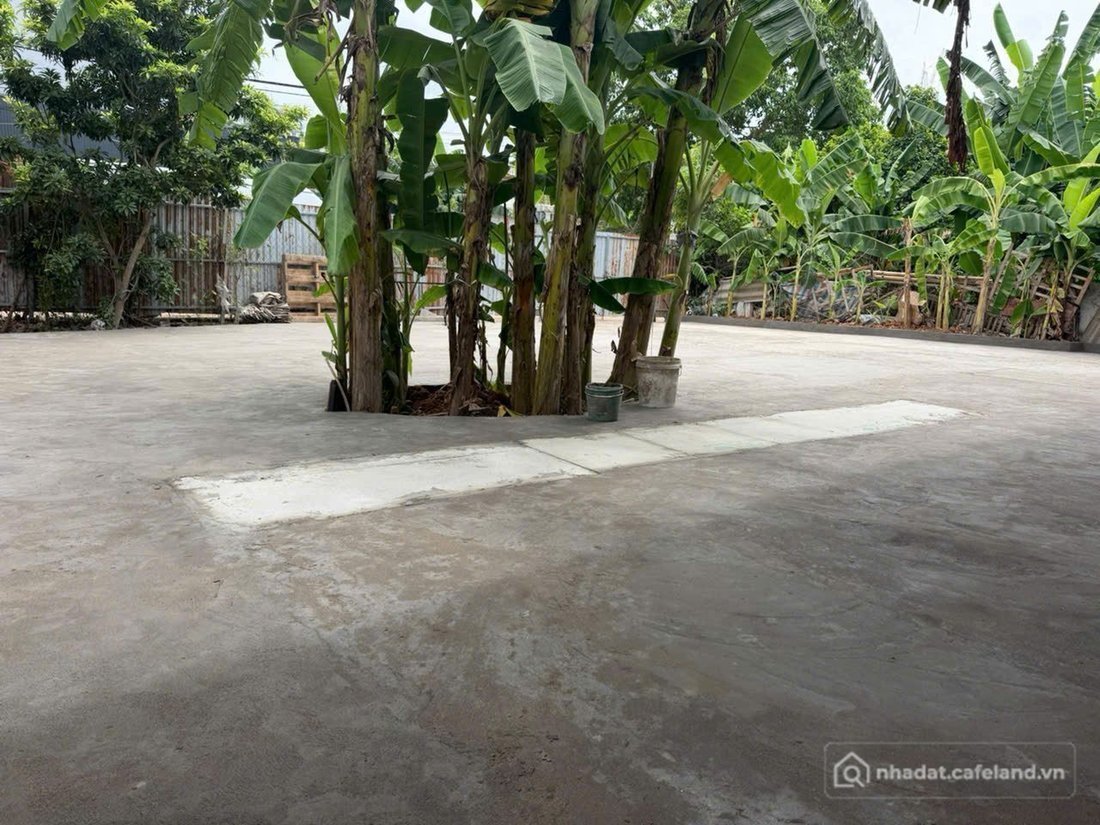 Cho thuê mặt bằng: Cho thuê mặt bằng: Cho thuê mặt bằng: Cho thuê mặt bằng: Cho