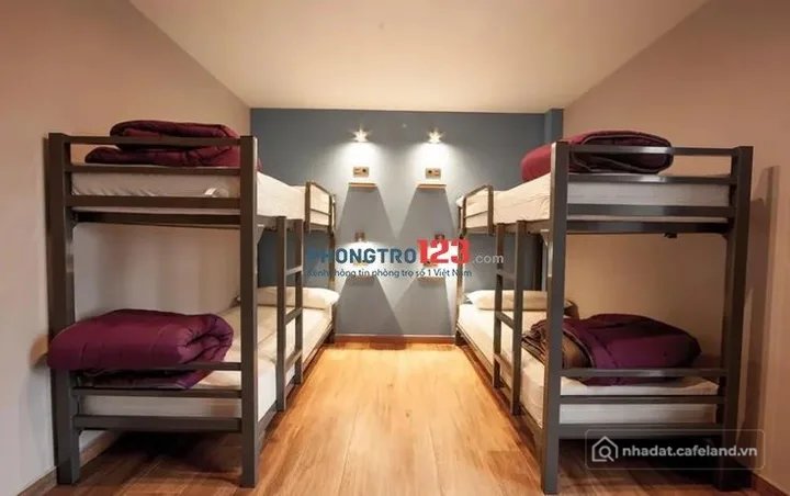 Cho thuê phòng trọ: Hệ thống trọ Homestay KTX Ngõ 82 Trần Cung phòng 4-6 người g