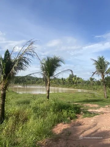 Bán nhà hàng - Khách sạn: Bán nhà hàng - Khách sạn: Bán Khách sạn 3ha2 có sẵn 21