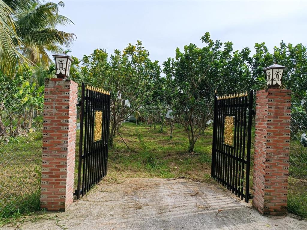 Chính chủ bán lại đất vườn, có thổ cư tại xã tân thạch, huyện châu thành, tỉnh bến tre