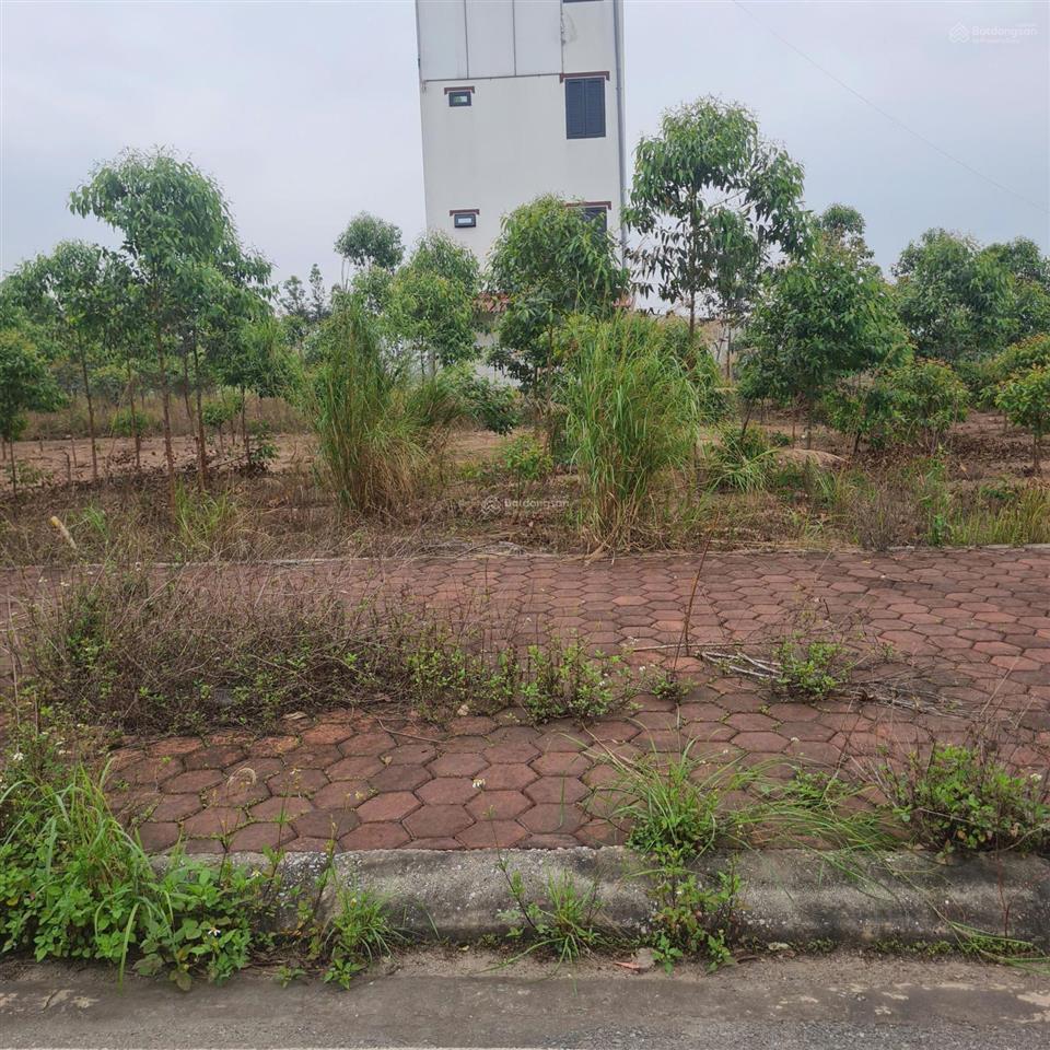 Bán đất đấu giá tại cẩm lý, lục nam, bắc giang. diện tích 90m2 mt 5m. đường 16m. giá 1,5 tỷ
