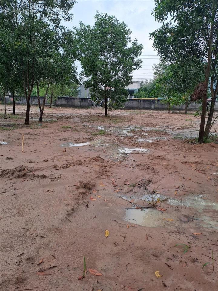 Bán lô đất mặt tiền nguyễn văn nhỏ 50x300m, đất đã có phê duyệt phân lô tách thửa