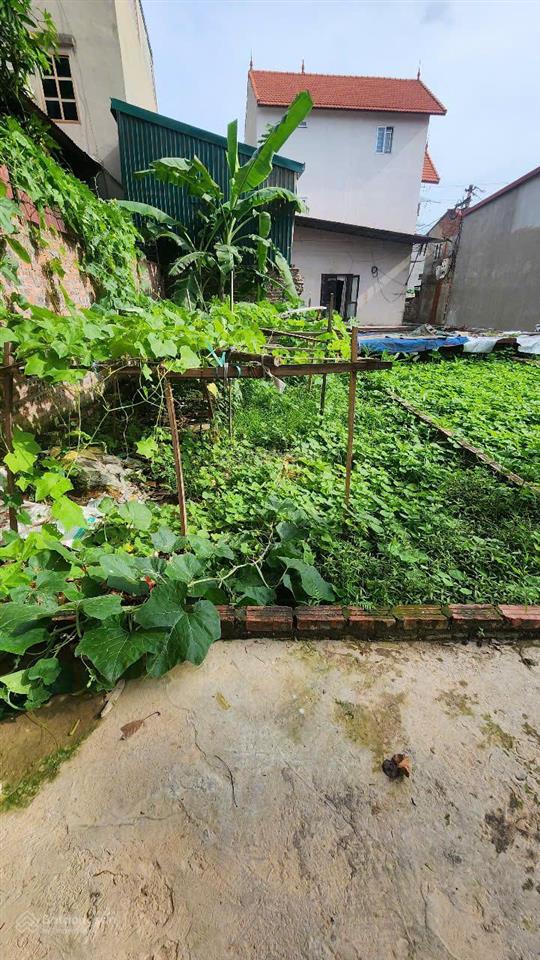 Bán đất vân hà vuông đẹp, trung tâm xã, 40m2, mt 4.5m, chào 2.45 tỷ, ô tô gần, đầu tư xây ở