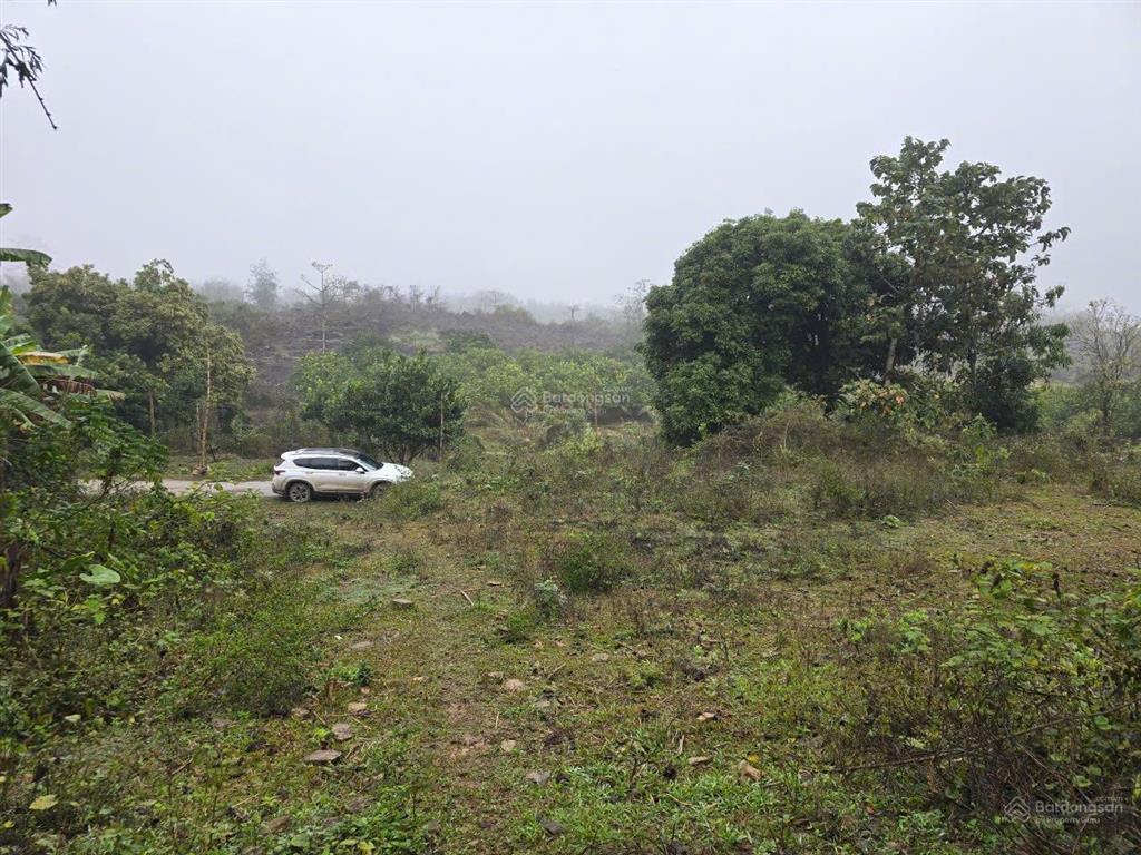 Bán 5209m2 đất tân lạc, hòa bình (nay phú thọ)
