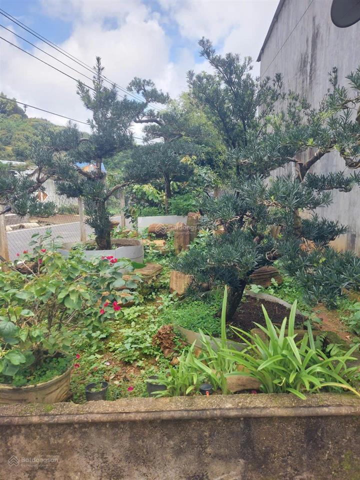 Bán gấp nhà 2345m2 mặt tiền phan huy ích, p3, bảo lộc, có 400m2 thổ cư, giá chỉ 6,7 tỷ