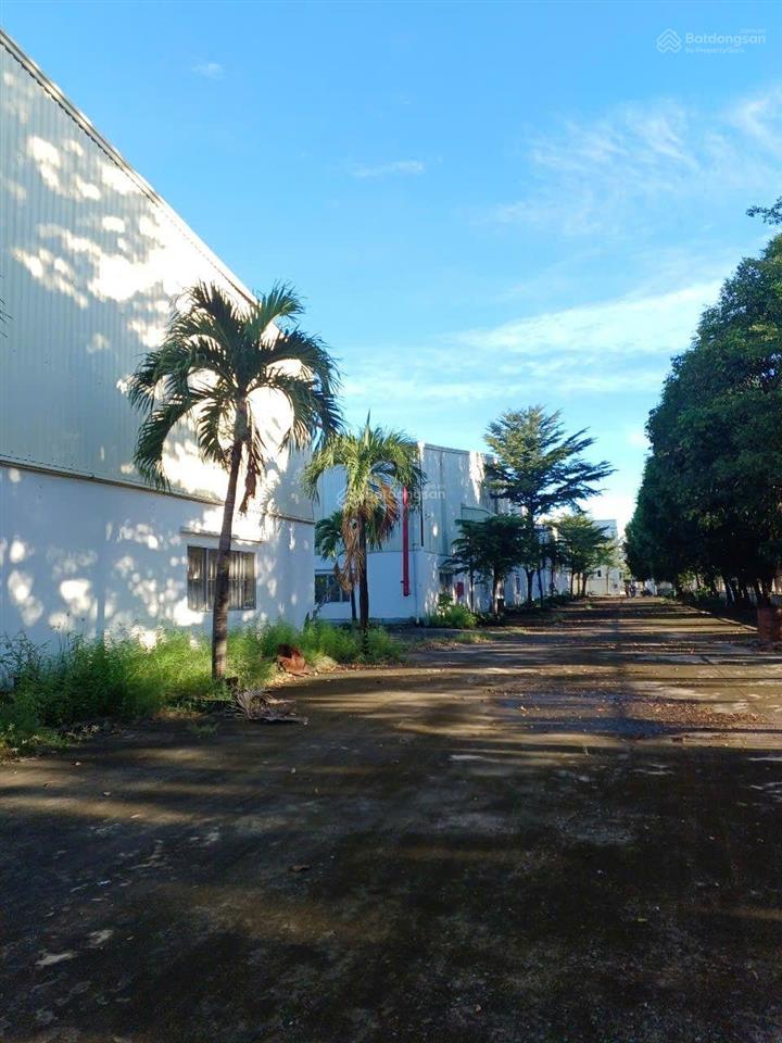 Bán nhà xưởng trong kcn đức hòa long an, dt 25.000m²(2,5ha), giá 168 tỷ