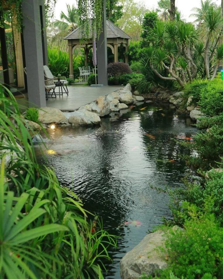 Villa song lập biệt thự rừng giá chỉ 16 tỷ thanh toán 10% ký hdmb đến khi nhà ck đến 12.5%