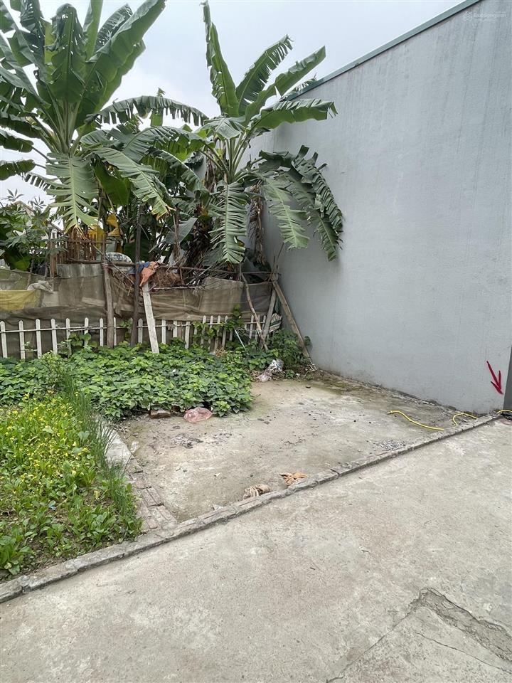 Cần bán 44,5m² cách trường mầm non bìa làng yên nhân chỉ 150m² giá 3.150tr tiền phong mê linh hn